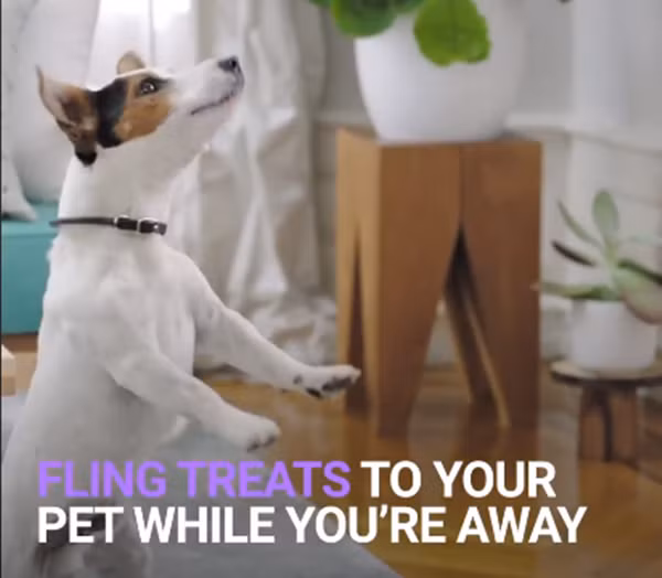 Đồ ăn đến rồi, đồ ăn đến rồi!