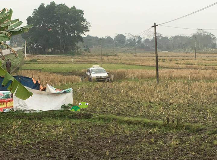 Tin vào chị Google.