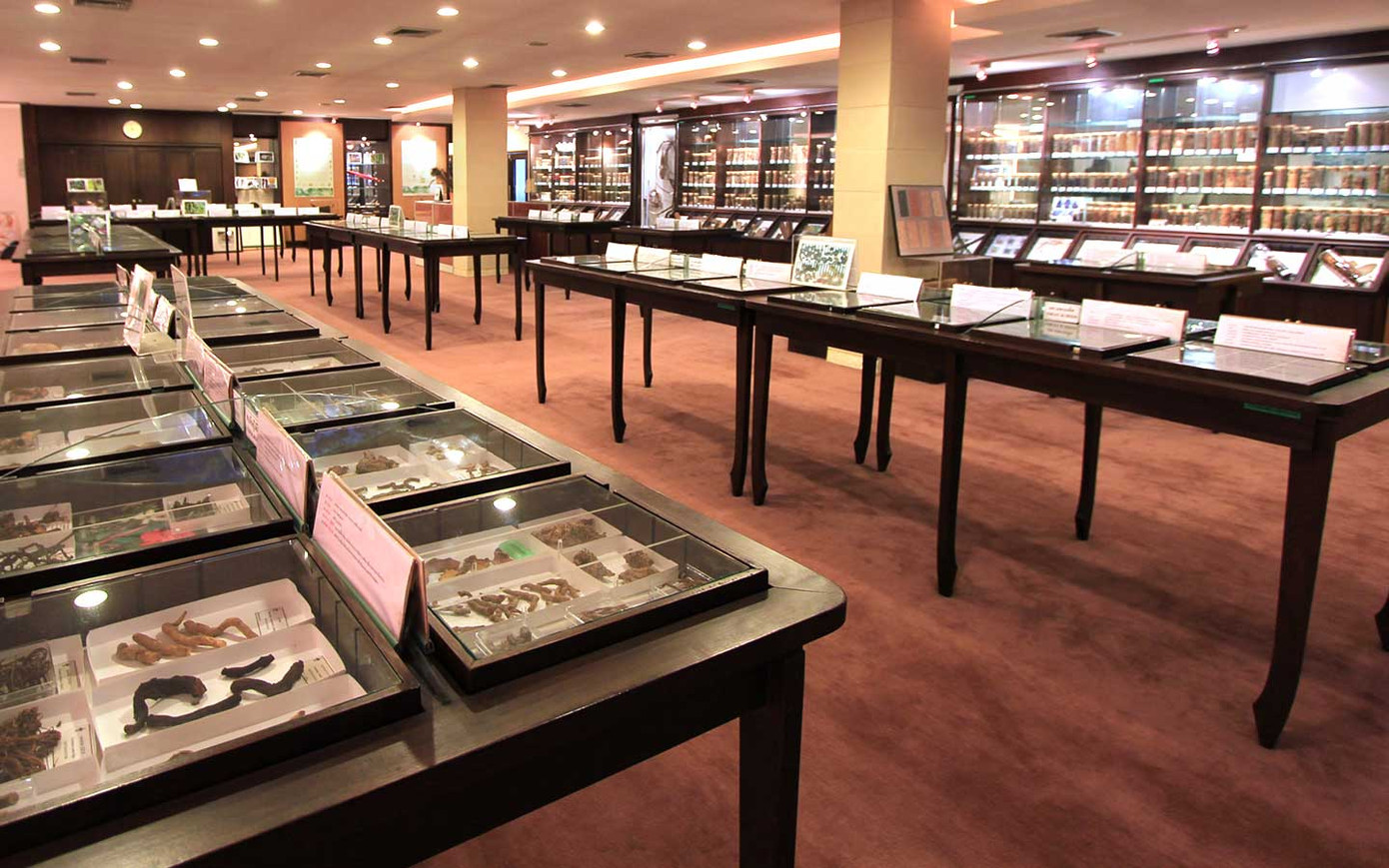 Bảo tàng dược học bao gồm các loại thuốc truyền thống và lịch sử của dược học Thái Lan.