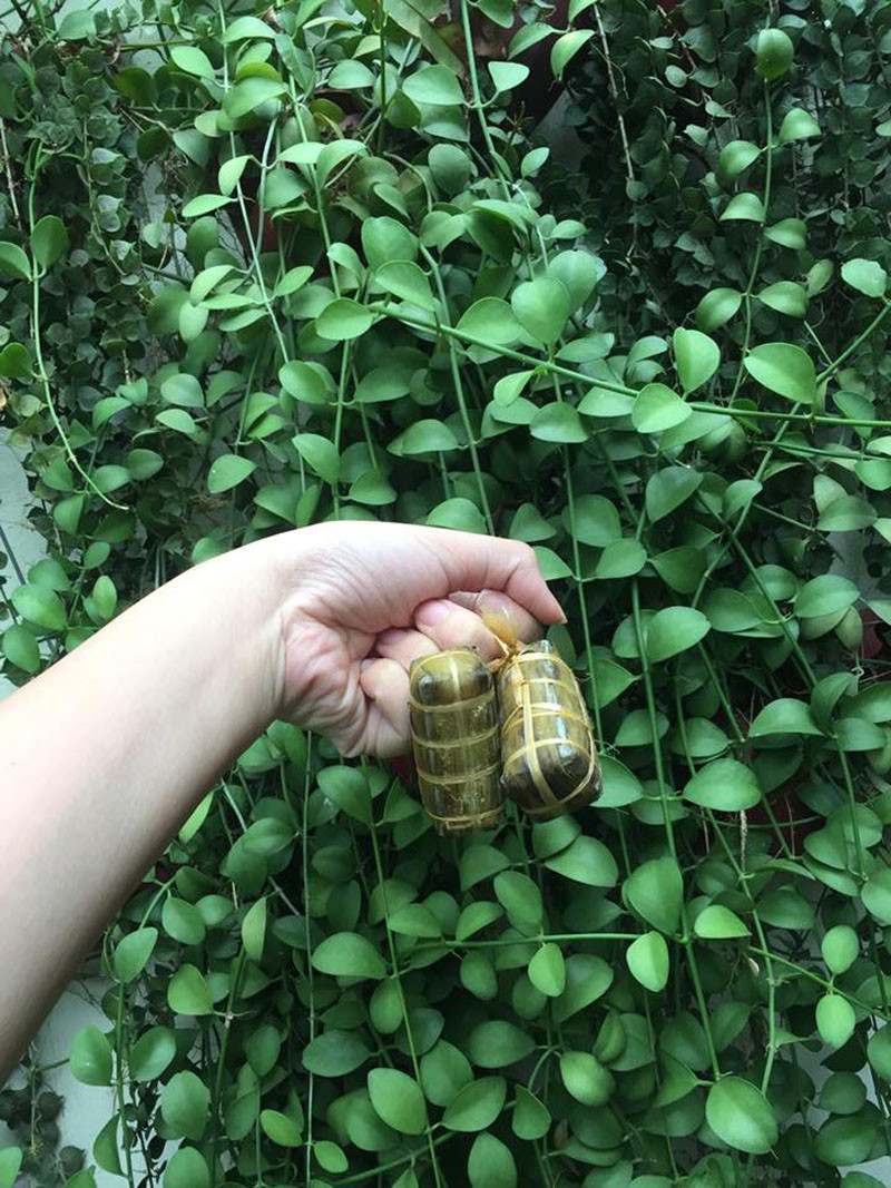 Giới trẻ "rần rần" khoe những chiếc bánh chưng, bánh tét phiên bản mini. (Ảnh: Tuong Vi)