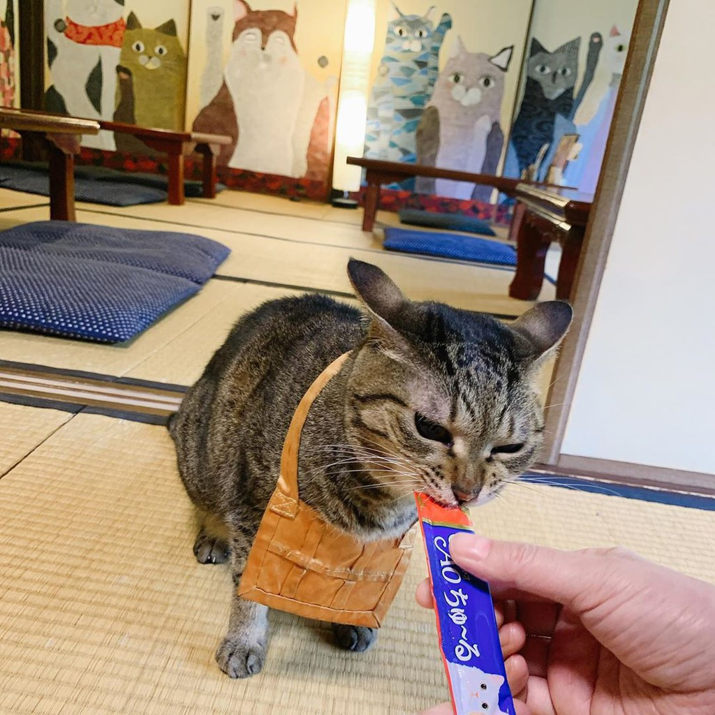 Ảnh: lgdr.ka.piano, ba07132.