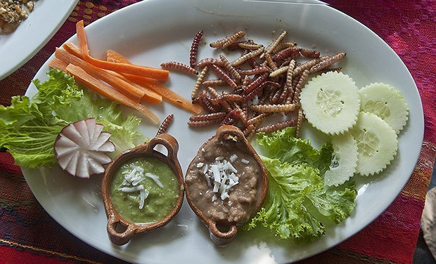 &nbsp;Đến Mexico, bạn sẽ được phục vụ món giun chiên ăn kèm lô hội Mỹ.