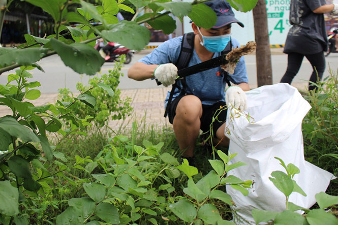 Nhiều bạn trẻ lần đầu tham gia hoạt động tình nguyện. ẢNH: TẤN HIỆP.