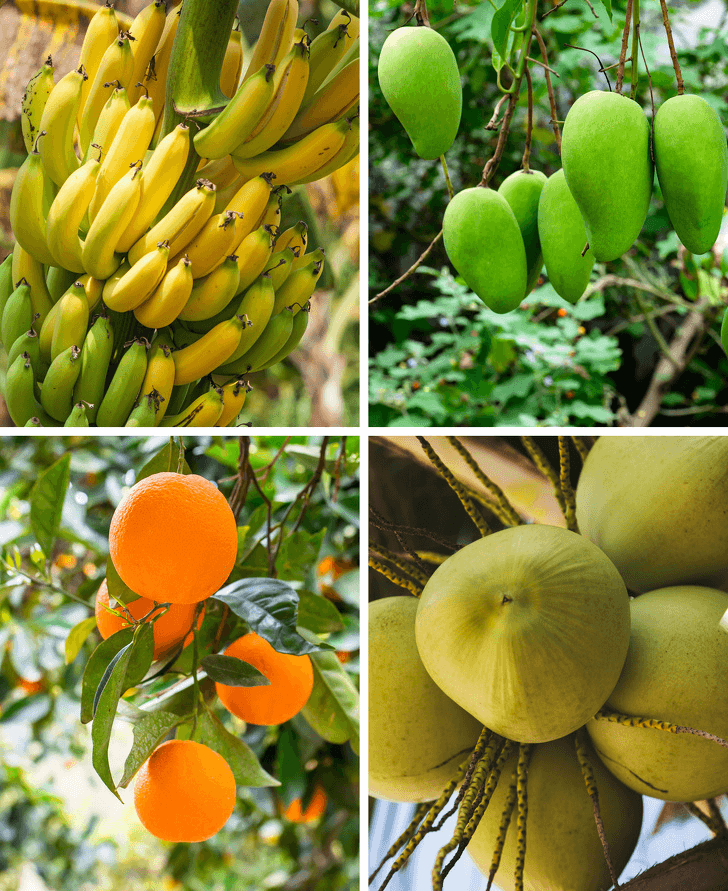 © depositphotos.com