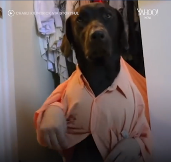 Nên mặc áo gì để đi làm đây?