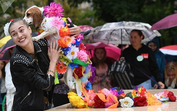 Rất nhiều chú chó khoác lên mình bộ trang phục sặc sỡ tham gia trình diễn. Hơn 100 chú chó đã được chủ nhân đưa tới tham dự Lễ hội thú cưng này.