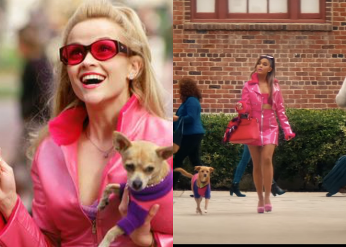 Hình mẫu cô nàng tóc vàng hoe trong Legally Blonde.