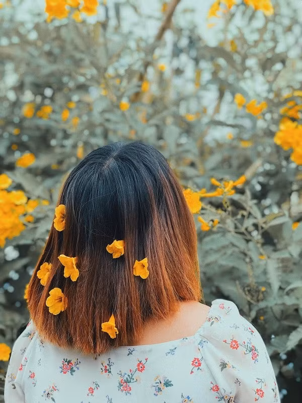 Khoác lên mình trang phục mang màu sắc nhã nhặn, hợp với màu hoa là có thể làm bộ ảnh thanh xuân ngọt ngào bên cây hoa này.
