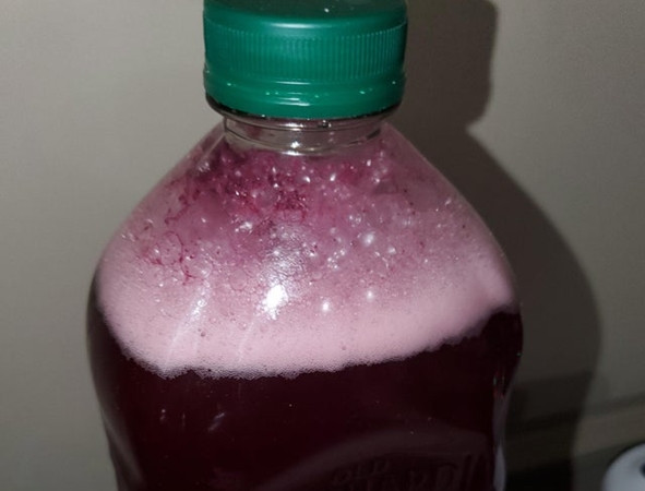 Men sẽ tạo ra nhiều khí cacbonic trong chai nước trái cây và có thể gây nổ.