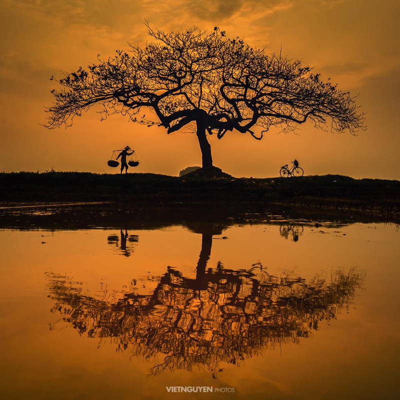 Đẹp đến nao lòng. (Ảnh: Viet Nguyen)