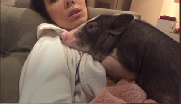 Phải nằm lòng mẹ mới an tâm.