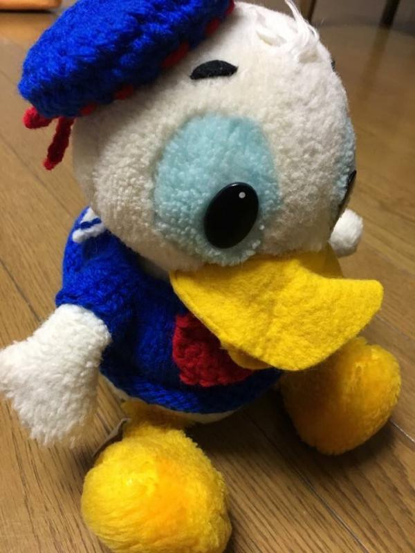 Chân dung Dona-Chan