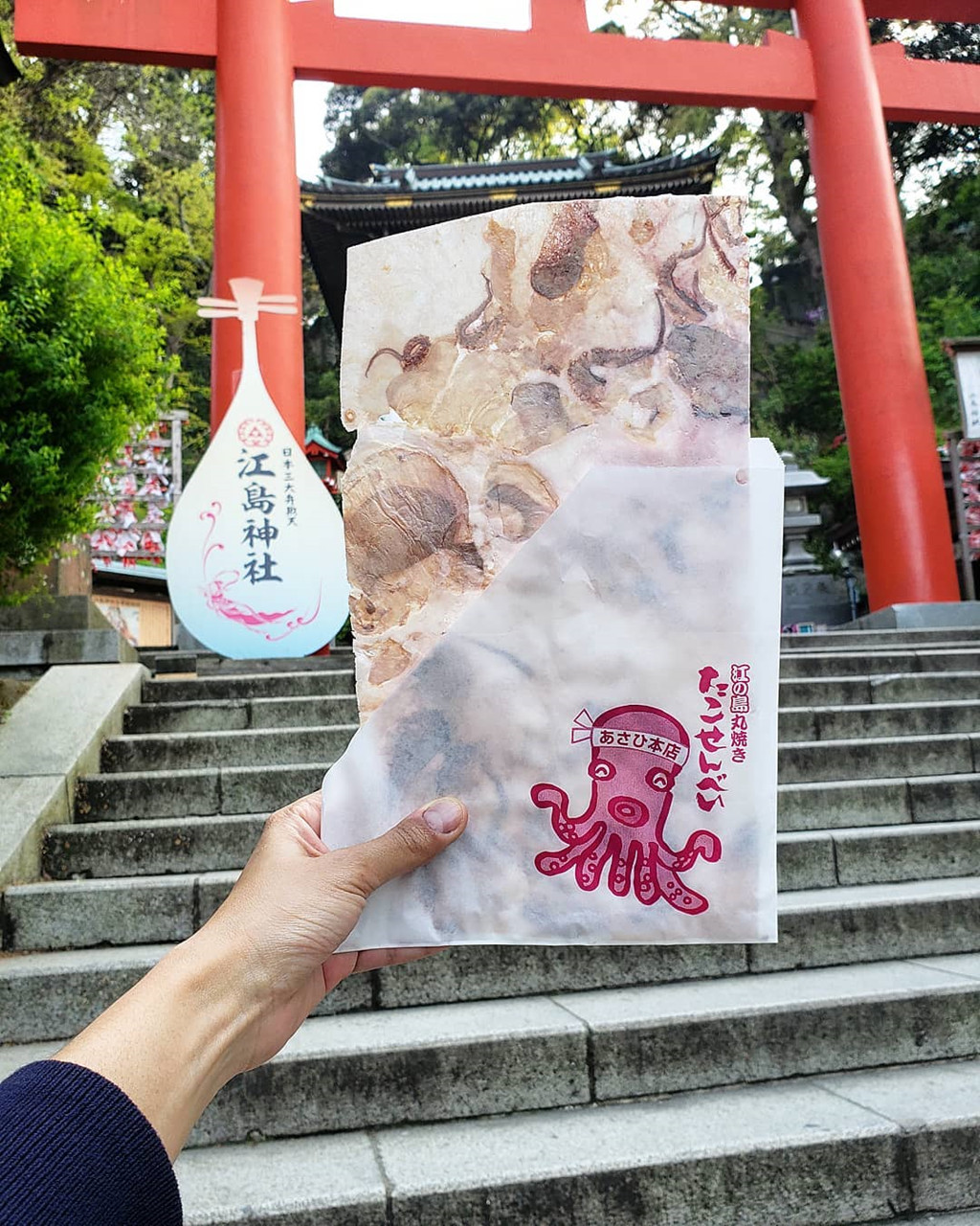 Ảnh: your.jiyoung, shana90n.