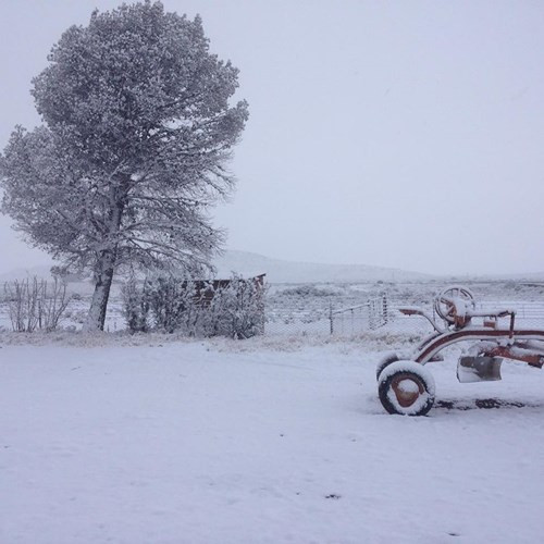 Cảnh tuyết phủ trắng đẹp mê hồn được người dân Nam Phi đăng trên Facebook. Ảnh: Facebook Karoo Padstal.