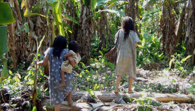 10 tộc người sở hữu siêu năng lực dị nhất hành tinh ảnh 5