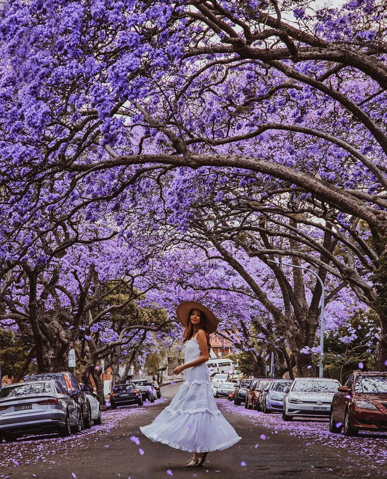 Những điểm đến du lịch nhất định phải tới một lần trong đời! ảnh 10