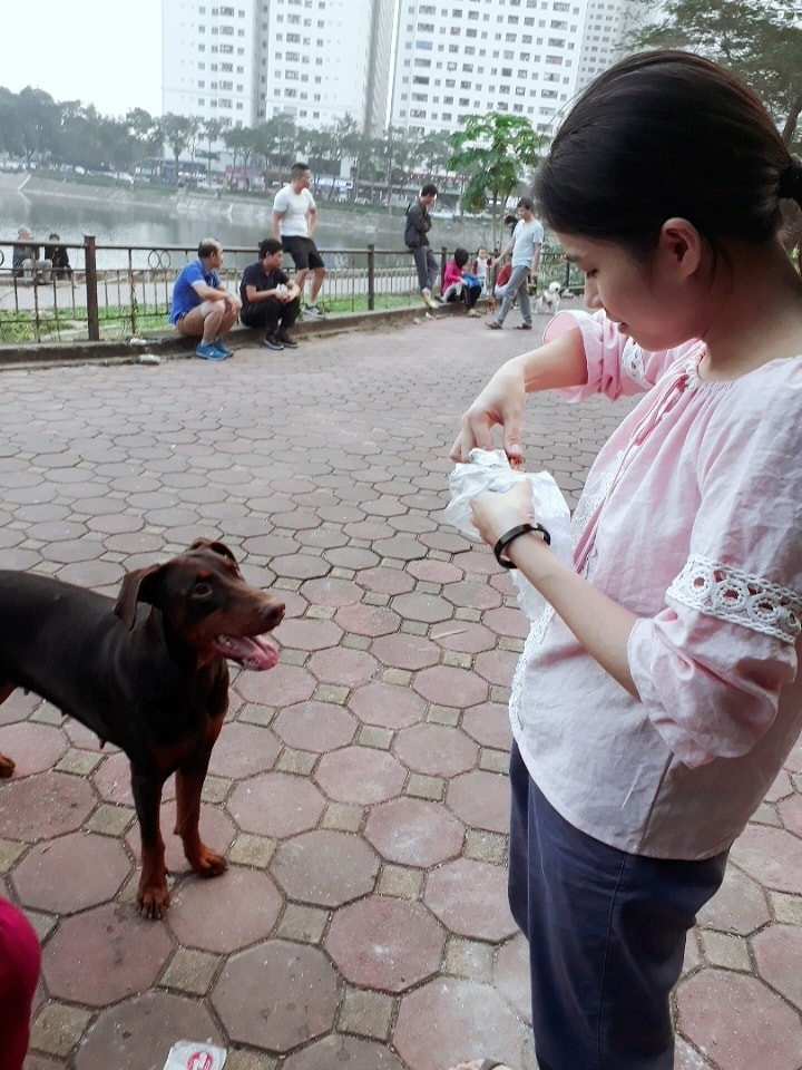 Vừa mua xiên thịt vào công viên ăn thì bị "xin đểu" ngay! (Ảnh: Huyền Phương)