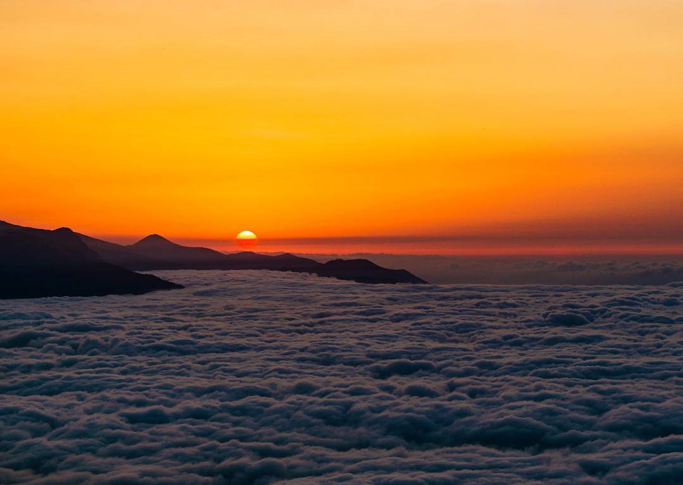 Ảnh: Mohammad.m612.