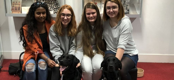 Hai "trợ giảng" thuộc giống Labrador tại Đại học Middlesex ở Anh. ẢNH: CHỤP MÀN HÌNH BBC.