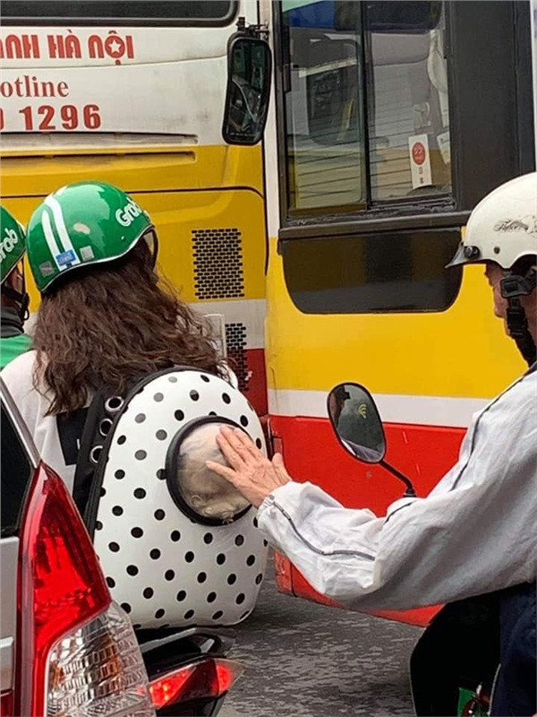 Khoảnh khắc "vi hành" đáng yêu của "boss".