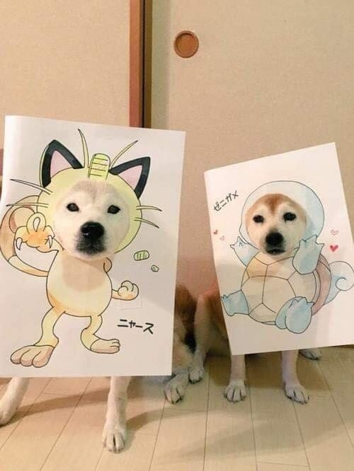 Có đôi có cặp cho vui nè...