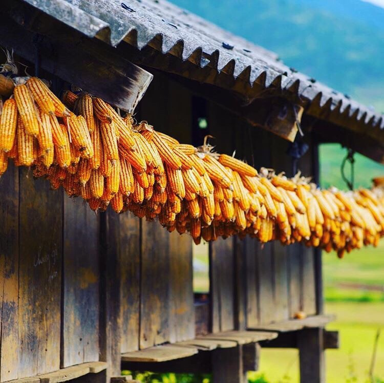 Ảnh: footprint.vn.