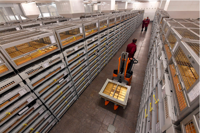 Các công nhân vận chuyển vàng bên trong kho dự trữ tại Nga. (Ảnh: RBTH)