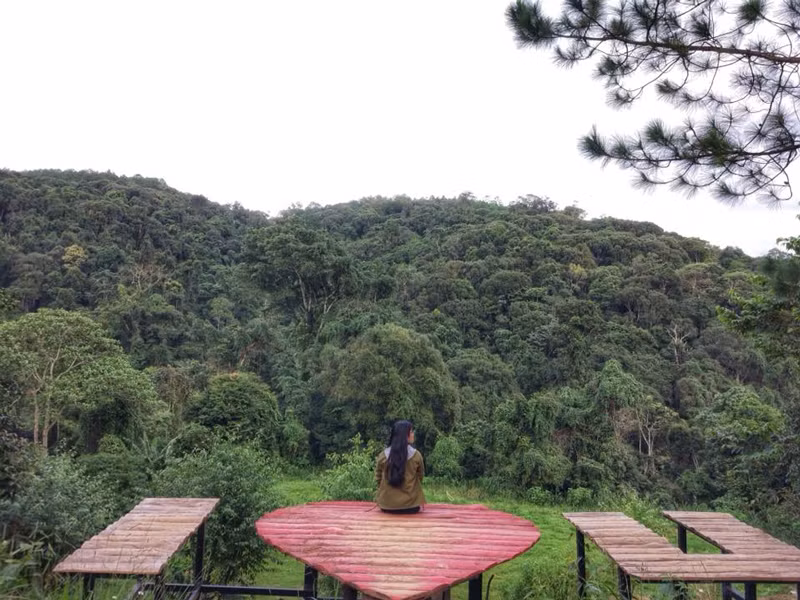 Nhiều tiểu cảnh cho bạn sống ảo. (Ảnh: Đinh Thị Diễm Hằng)