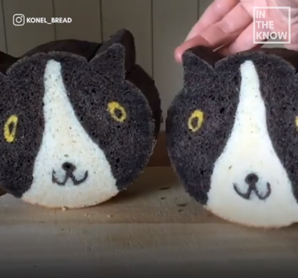 Khi cắt đôi ra thì khuôn mặt dễ thương không? Sẽ có cả bày mèo dễ thương đấy.