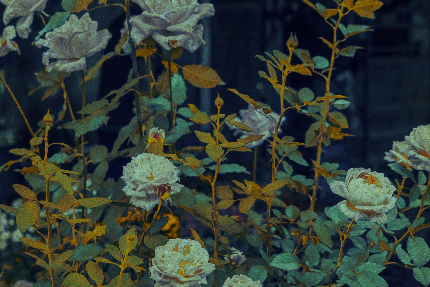 Những đóa hồng trong đêm kiêu sa