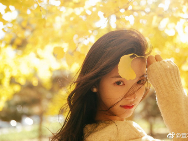 Nữ chính do Chương Nhược Nam đảm nhận.