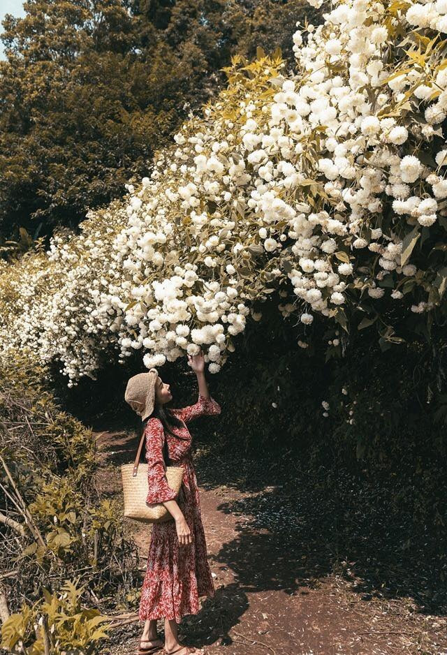 Ảnh: Somewhere Someone.