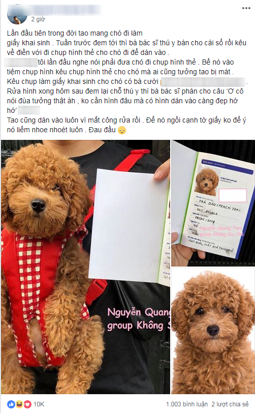 Bài viết nhanh chóng thu hút sự chú ý của đông đảo mọi người sau khi xuất hiện.