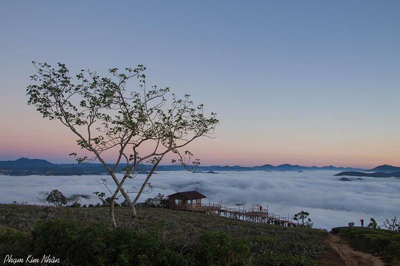 Chiếc cầu săn mây nhìn từ xa.