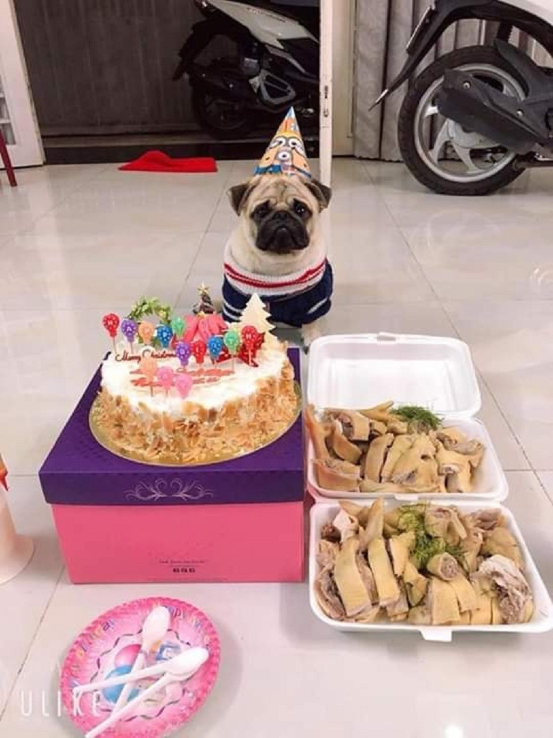 Bánh kem và thịt gà là 2 món chính của bữa tiệc sinh nhật.