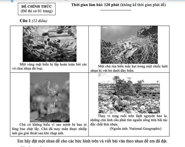 Đề dành cho khối 7 là hình ảnh về môi trường đang bị phá hủy bởi bởi chai nhựa, bao li lông.