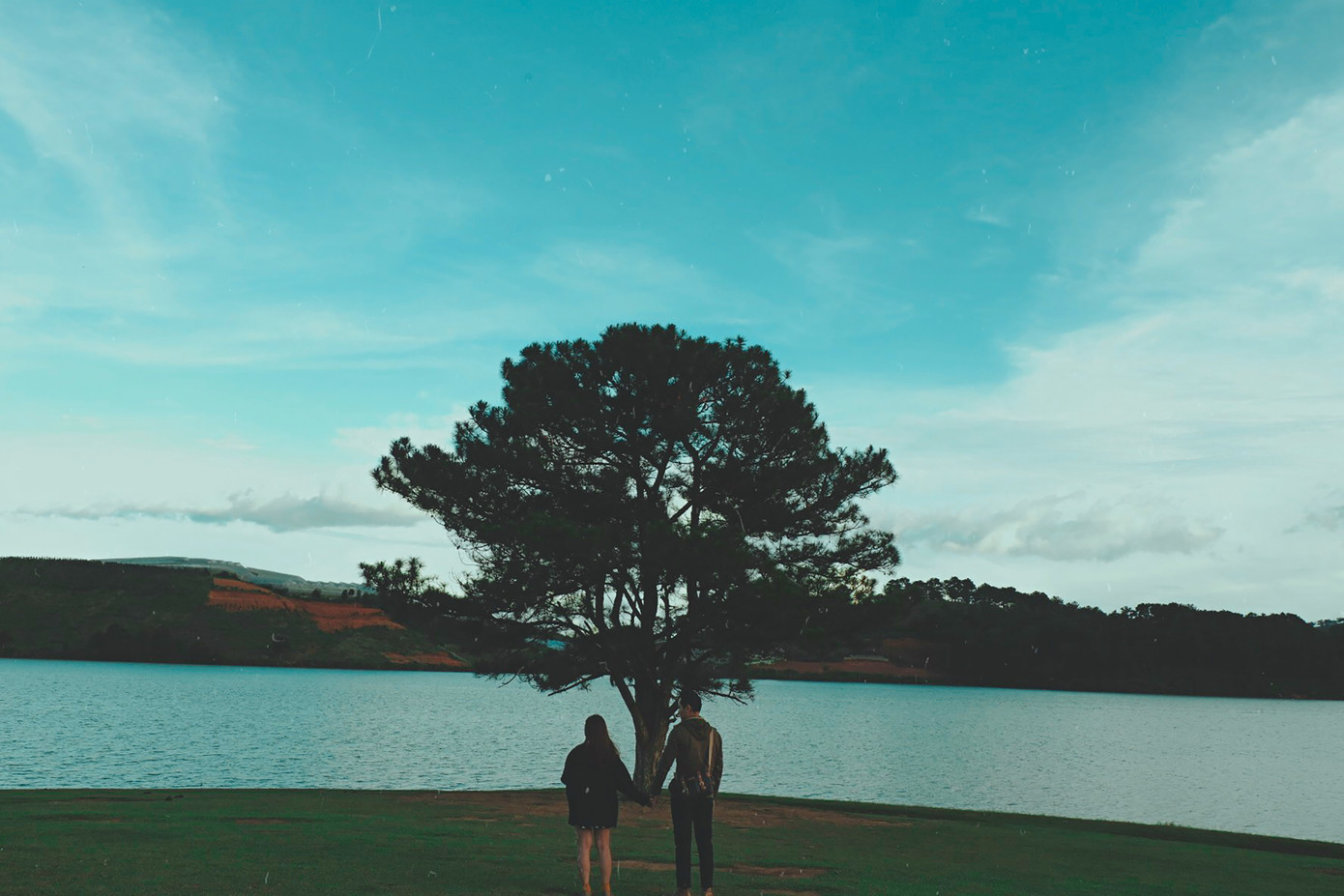 Nhiều cặp đôi đến tìm đến đây để tìm kiếm cho mình cảm giảm thư giãn và khám phá cây thông siêu lạ.