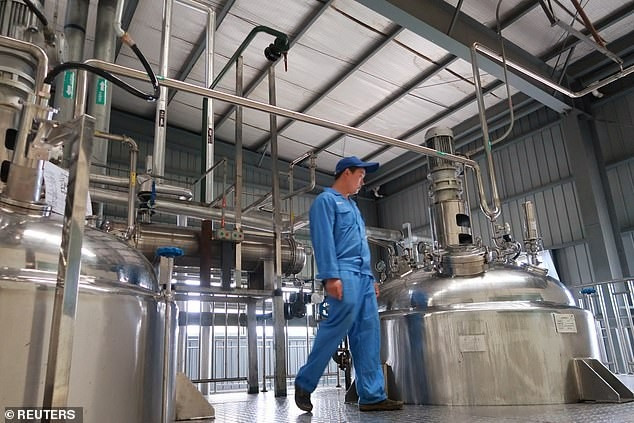 Bạn biết đây là gì không? Là nhà máy chiết xuất chất bổ từ gián đó...