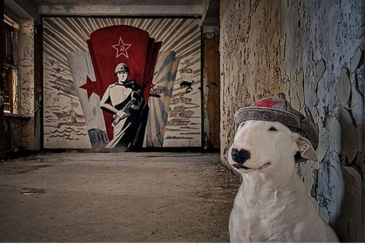 Ý tưởng chụp ảnh khó tin này nhanh chóng nhận được sự yêu thích, nhưng không phải "con sen" nào cũng dám thử đâu nhé!