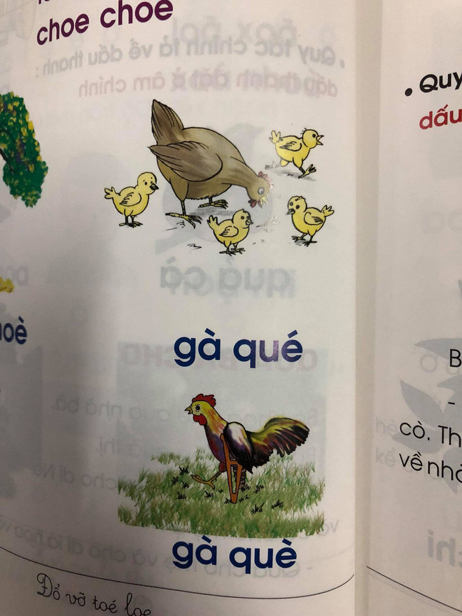 Theo Nguyễn Siêu, việc sử dụng tiếng địa phương trong SGK là để dạy trẻ biết tôn trọng sự khác biệt.