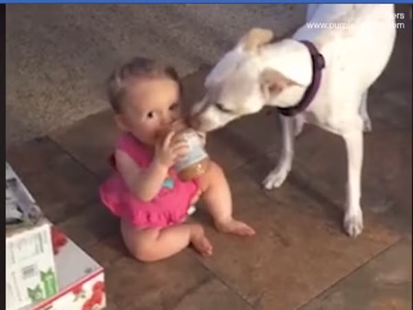 Khi bạn ý ăn thì tôi chỉ liếm bên ngoài thôi.