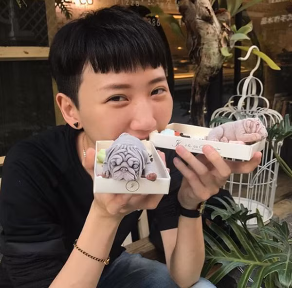 Mỗi khuôn hình là một chú cún khác nhau, với rất nhiều mùi vị cho bạn lựa chọn.