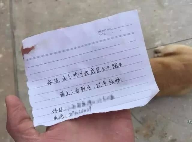 Hóa ra cũng biết ăn trộm bánh bao cơ đấy!