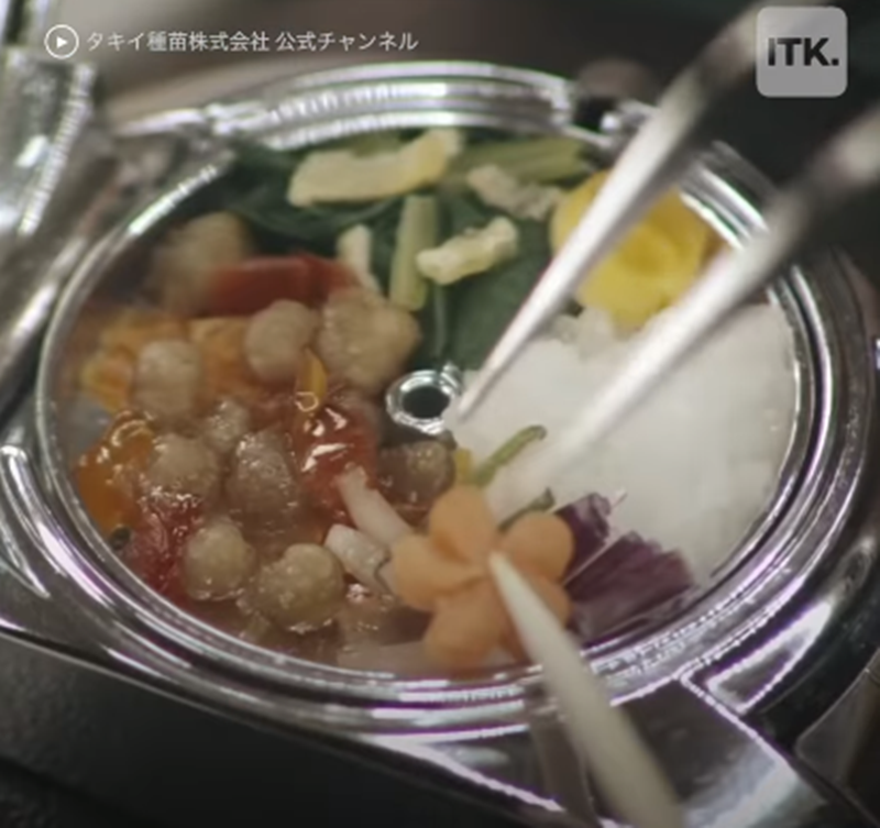 Cơm, cá, thịt, rau củ và đủ kim giờ, kim phút có đủ cả.