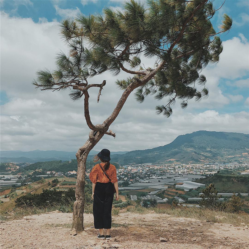 Khác với những cây cô đơn khác, cây cô đơn trên đồi Thiên Phúc Đức bây giờ chỉ còn là kỉ niệm. (Ảnh: trinhthanh)