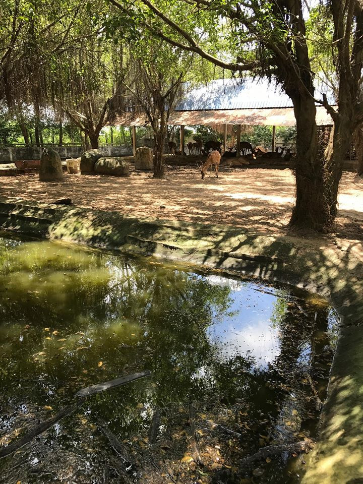 Điều kiện sống tồi tàn với ao tù nước đọng bốc mùi hôi thối.