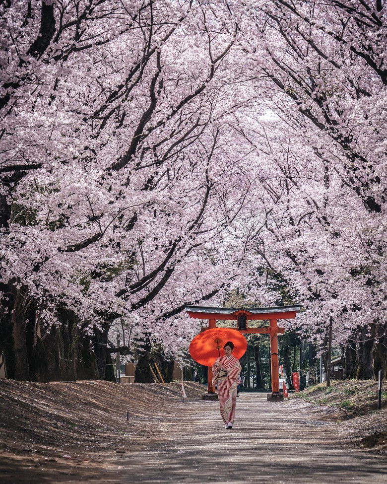 Những điểm đến du lịch nhất định phải tới một lần trong đời! ảnh 5