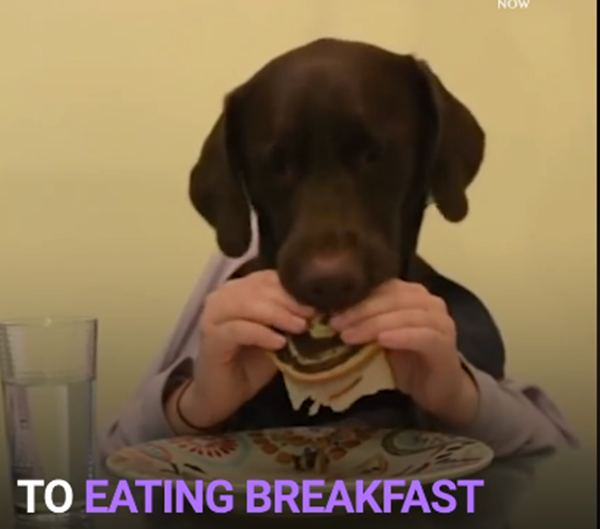 Ăn sáng phải luôn đầy đủ.