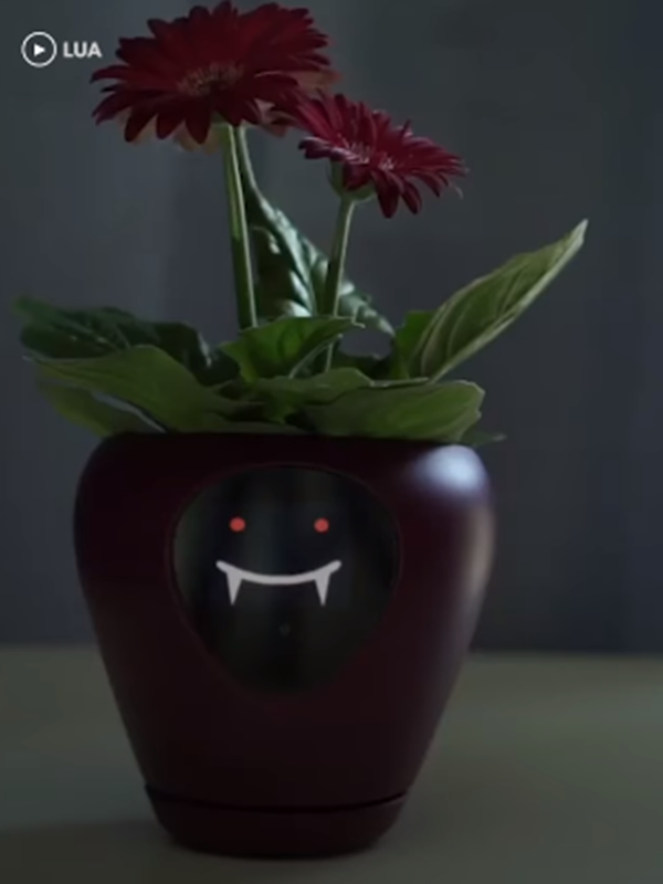 Thiếu ánh sáng, tối quá tôi không thích đâu nhé.