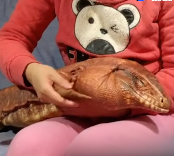 Cảm giác vô cùng sung sướng nhé. Nhắm tịt mắt để hưởng thụ nè.